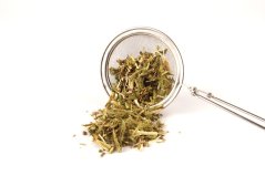 No.7 Liver regeneration