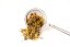 No.58 Intestinal regeneration