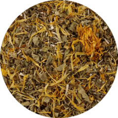 No.58 Intestinal regeneration