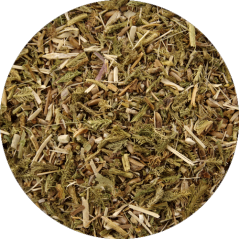 No.7 Liver regeneration