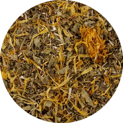 No.58 Intestinal regeneration