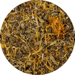 No.58 Intestinal regeneration